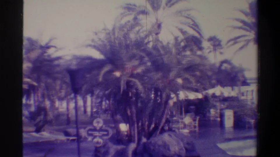 8mm frame c.1974, Florida resort; pan reframes to palm canopy with decorative post-mounted signs and white canopy structure amid dense tropical foliage.
