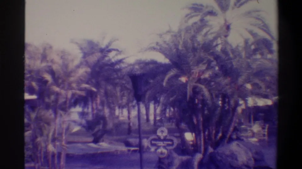 8mm frame c.1974, Florida hotel; pan concludes on tropical palm cluster with ornamental boulders and decorative poolside signage in the foreground.