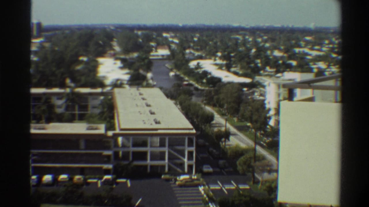 High-angle view of a multi-bay open structure, wide street, surface parking, and subtropical tree canopy stretching to a flat horizon.