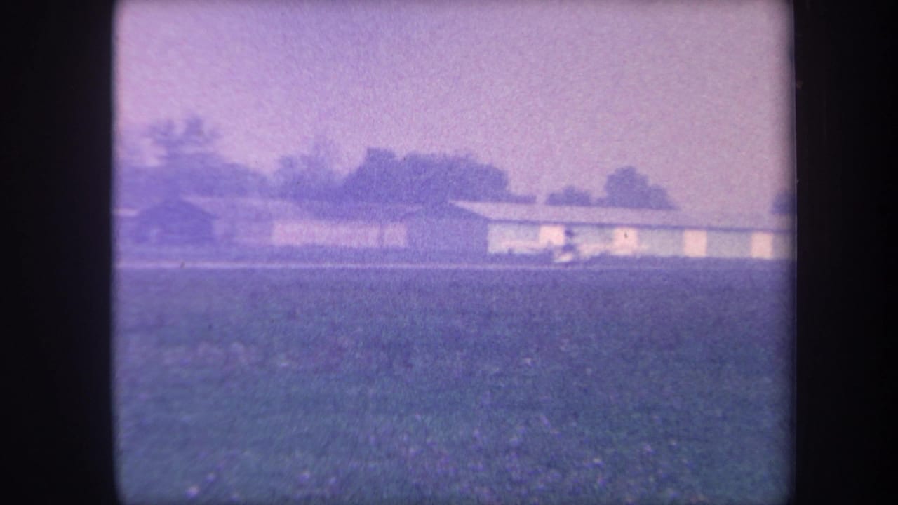 Wide grassy airfield with low horizontal hangar in middle distance, framed in purple-shifted 8mm.