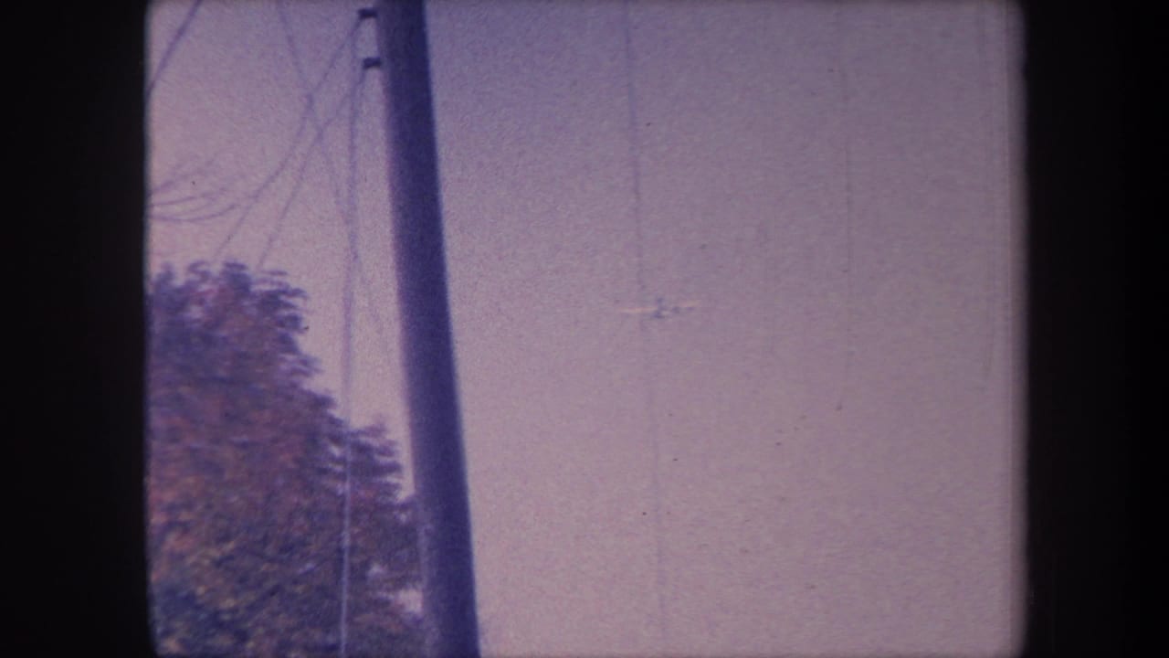 Wooden utility pole with overhead power lines and a tree with dense foliage, framed against a pale hazy sky.