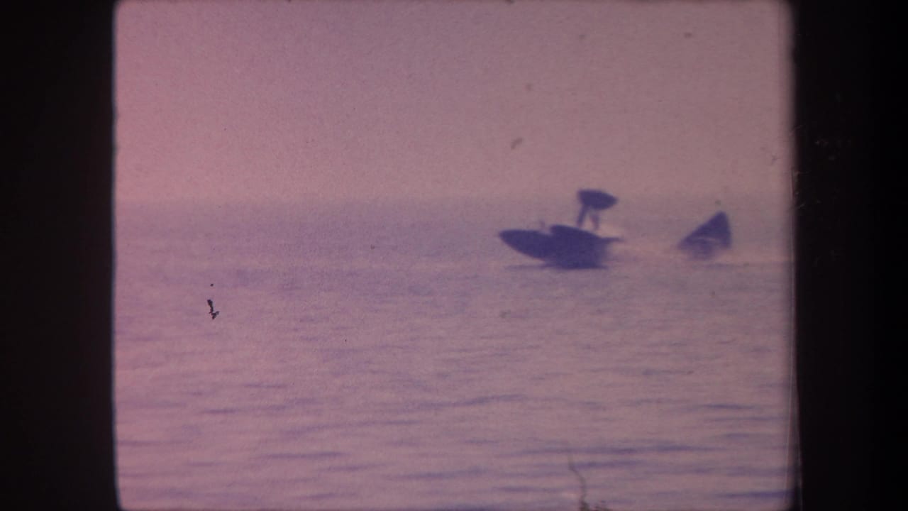 Two small seaplanes resting or landing on calm open water, aged 8mm color film, possibly California circa 1959