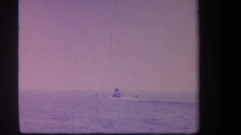 Lone surfer on gentle wave in aged 8mm film frame with visible vertical scratch artifact and heavy purple cast, circa 1959.