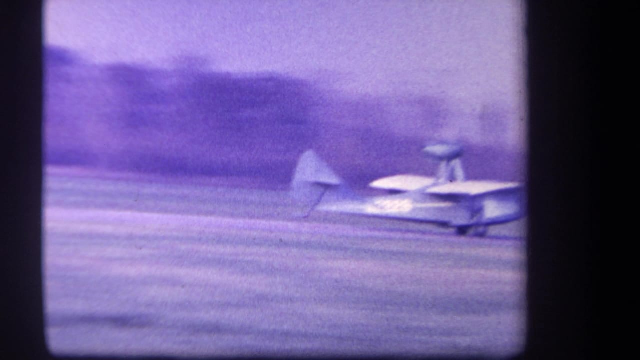 Small biplane lifting from a grass runway with trees in the background.