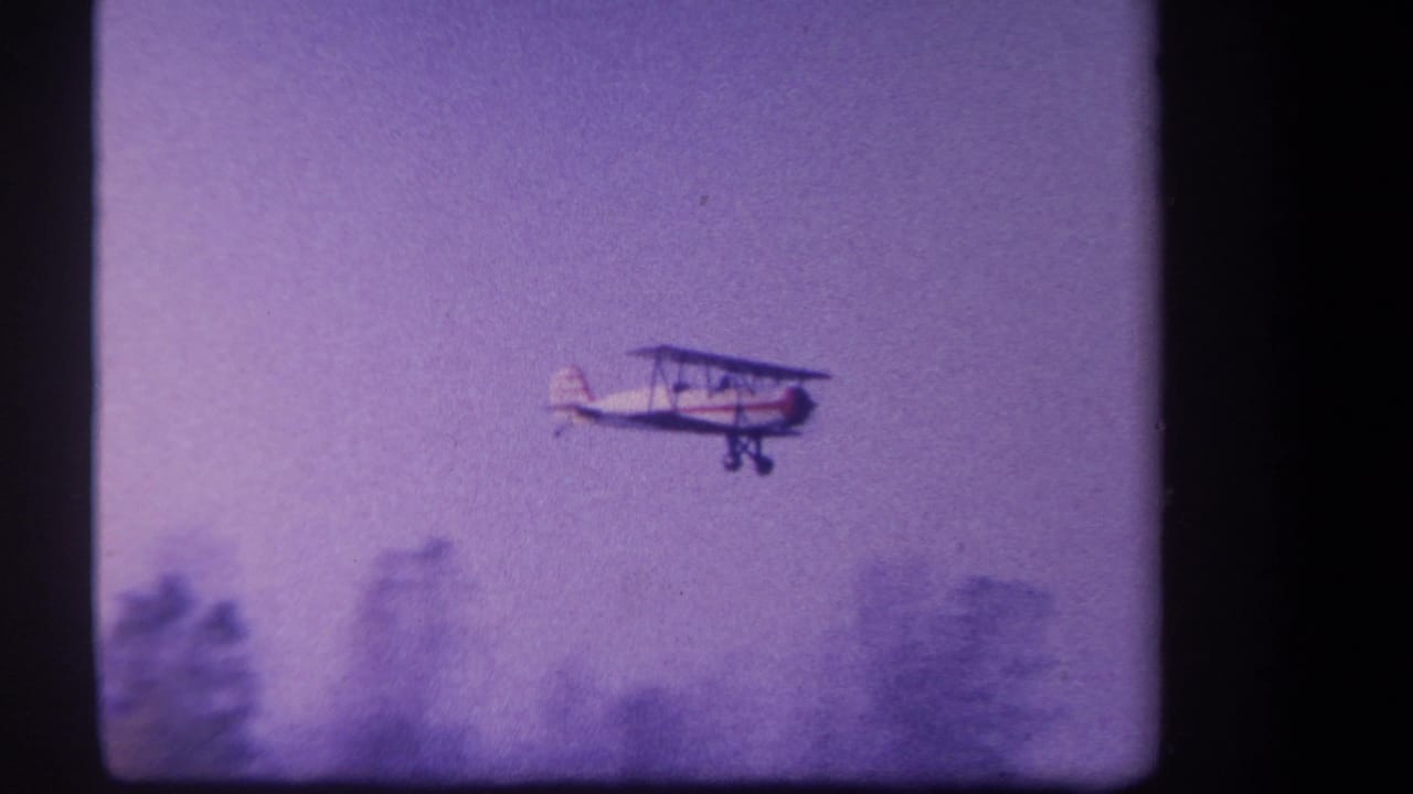 Biplane flying above a soft tree line in a purple-tinted sky.