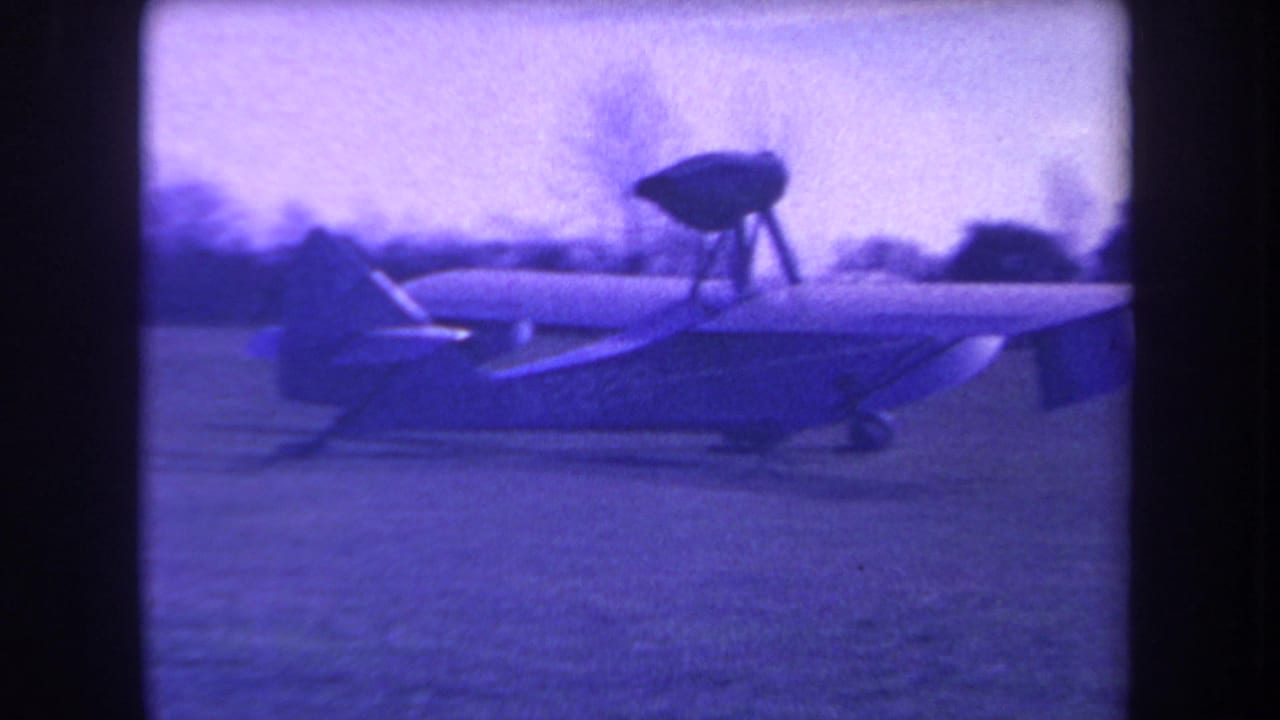 Side view of a small aircraft on grass beneath a pale sky and bare trees.