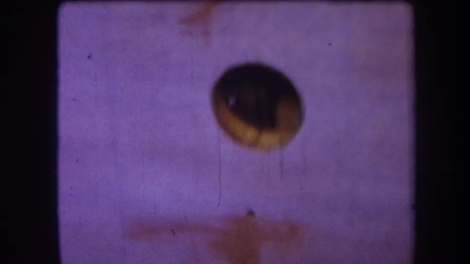 1964 8mm frame from the Yucaipa-area reel showing a purple-tinted wall surface with one dark circular hole and heavy color shift.