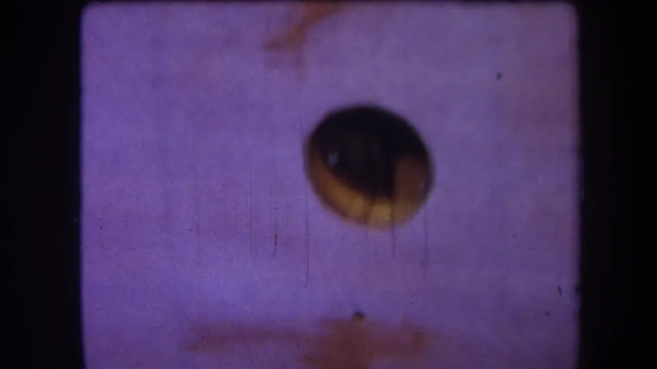 1964 8mm frame showing a purple-tinted surface with one dark circular opening, soft focus, scratches, and black contact-sheet borders.
