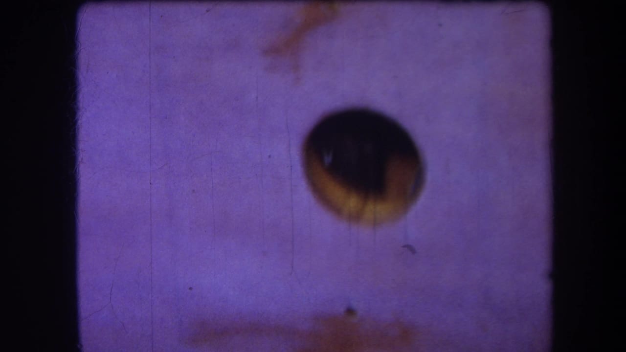 1964 Yucaipa 8mm frame with a dark aperture shape, faded purple cast, fine scratches, dust marks, and visible film-frame edges.