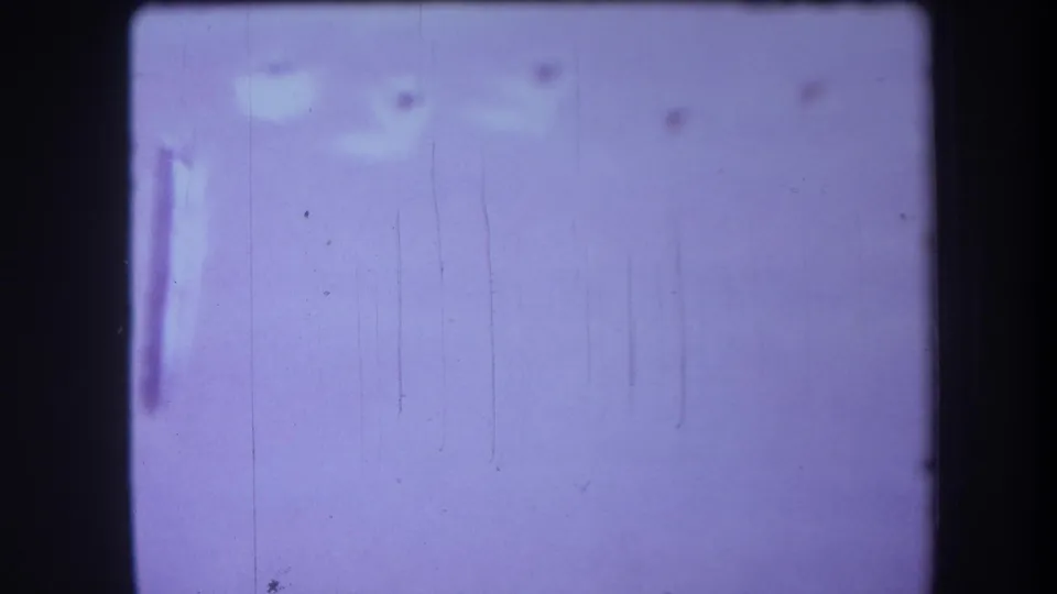 1964 8mm frame of a white cupboard door surface with several small circular holes, film scratches, and purple fading.