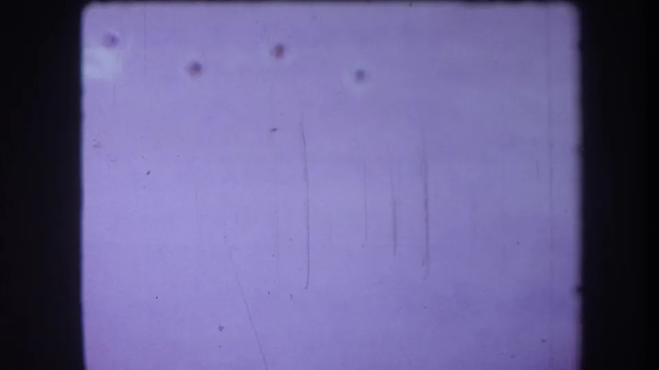 A lower portion of the 1964 Yucaipa-area cupboard door appears in soft focus with faint circular holes and visible 8mm wear.