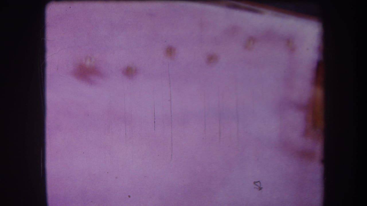 1964 Yucaipa home-movie frame with a soft pink-purple cast, film scratches, and a barely visible yellow shed-like form near the right edge.