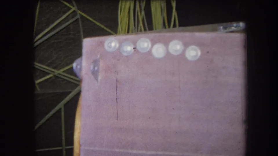 A 1964 Yucaipa home-movie frame shows a wooden panel with pale round drops along the top edge and green plant stems in the background.