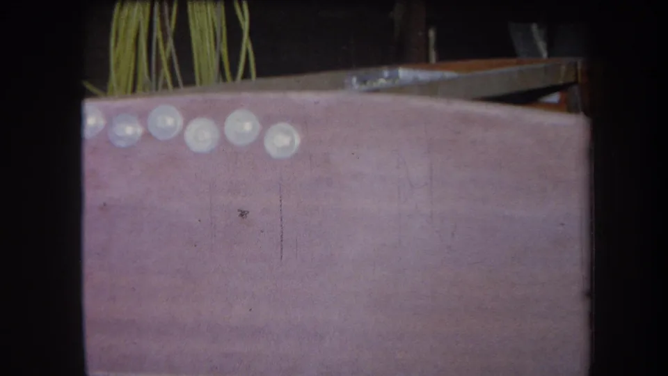 1964 Yucaipa-area 8mm frame showing the pink craft surface shifted lower, with pale round pieces and plant-like strands behind.