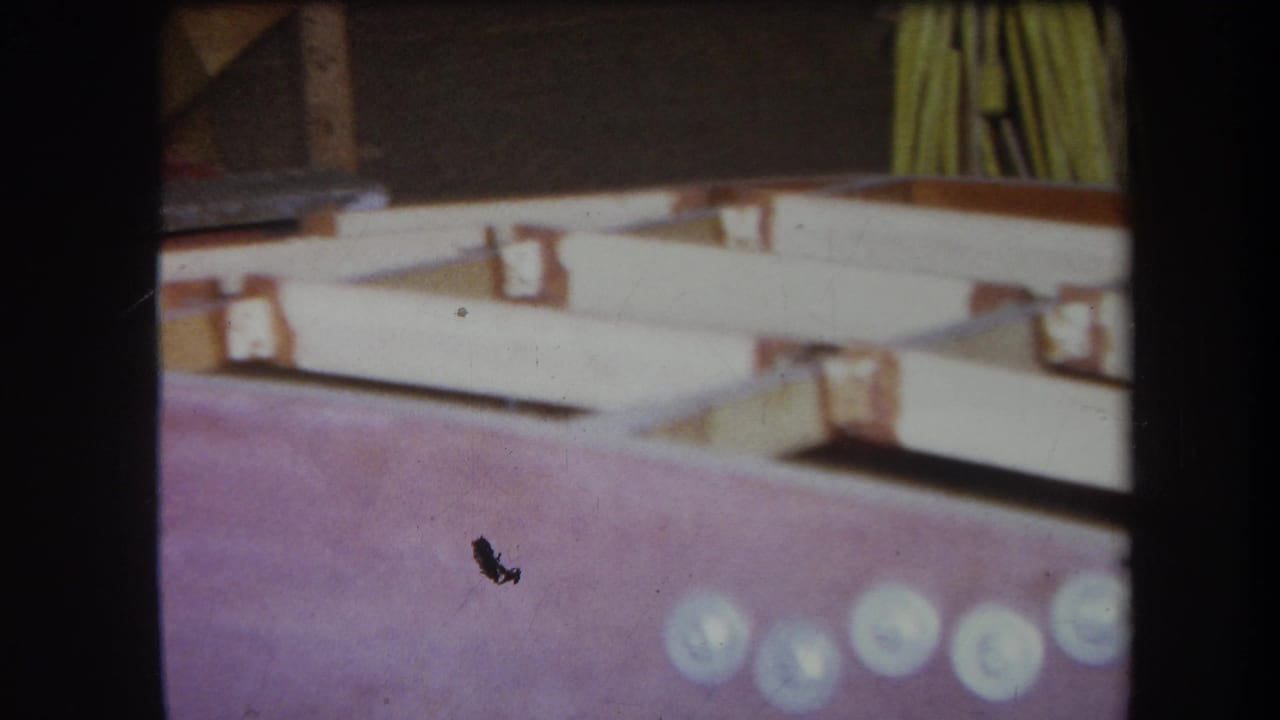 Purple-pink surface with pale circular marks below light wooden boards and metal brackets.
