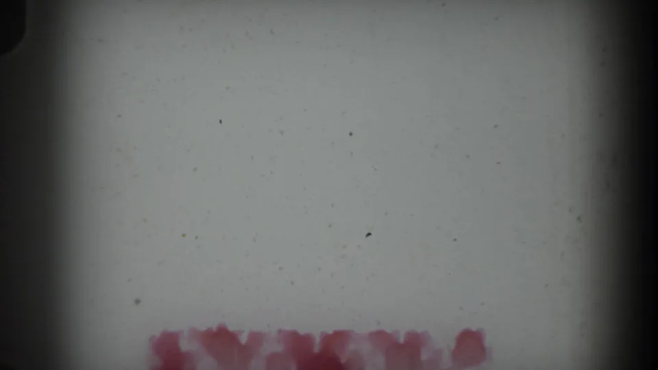 1965 8mm frame from the Volmer Yucaipa clip showing a pale surface, partial red letters, grain, and dark edge falloff.