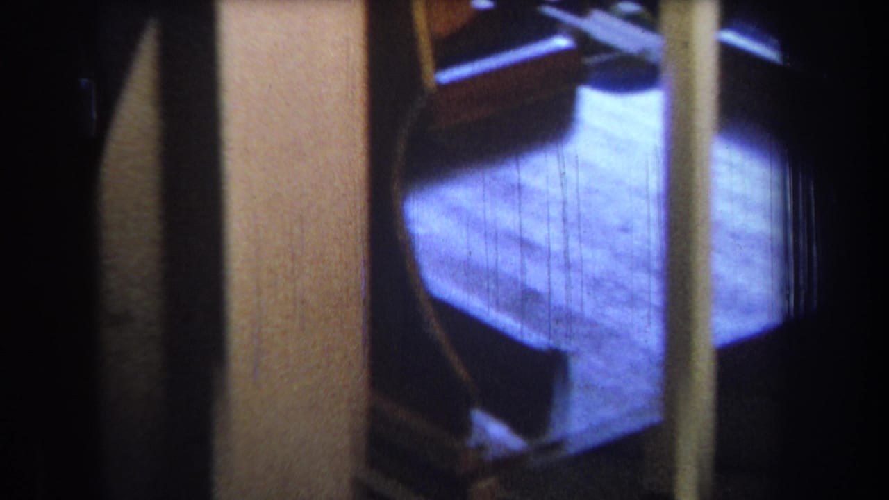 Vertical wooden members border a dim interior with blue-tinted floor and metal elements.