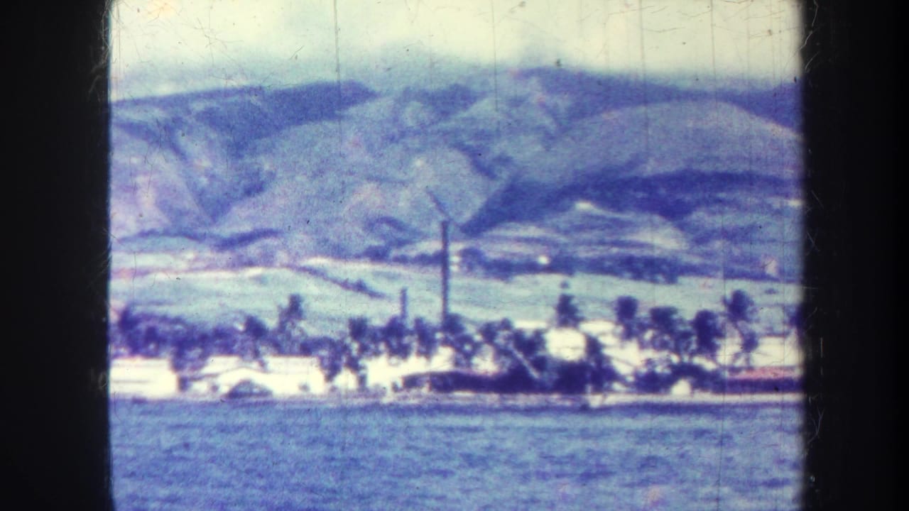 Waterfront view with palm trees, low buildings, smokestack, and mountains behind.