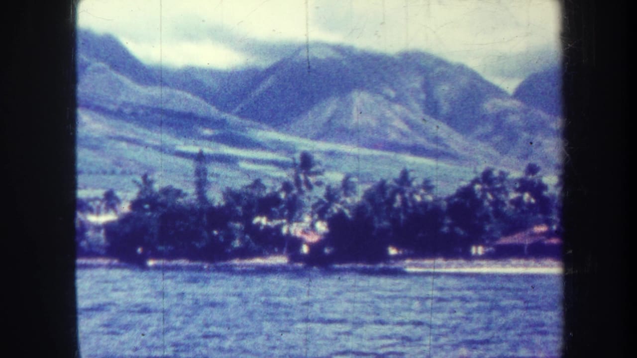 Palm-lined shoreline across blue water with mountains and cloudy sky behind.
