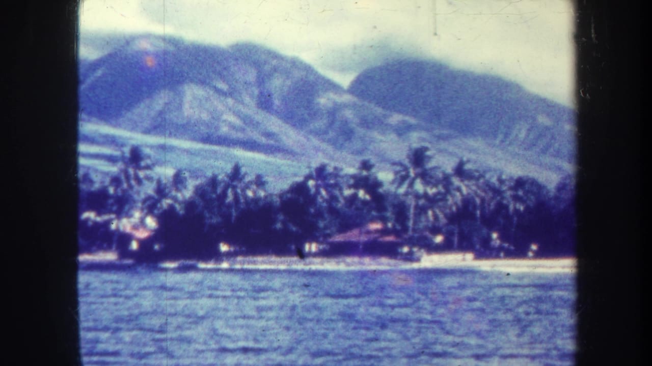 Ocean shoreline with palm trees and mountains under a cloudy sky.