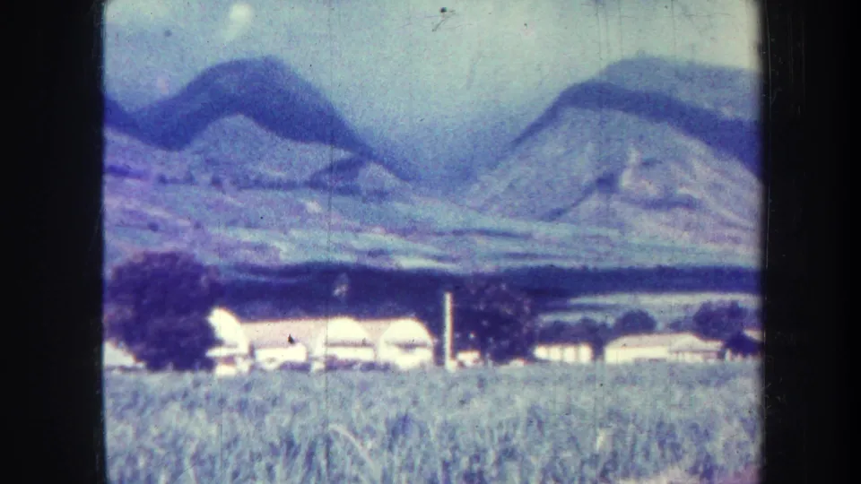 1967 Honolulu-area 8mm frame showing a field, low white buildings, trees, and a mountain backdrop.