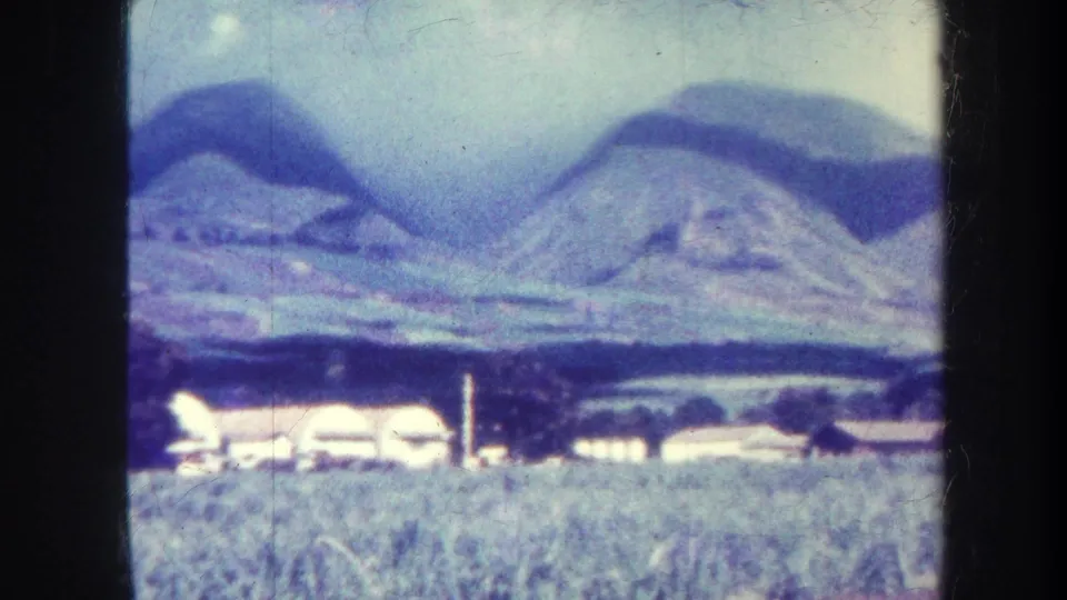 1967 Honolulu-area 8mm frame with soft-focus mountains, field grass, trees, and small light-colored buildings.
