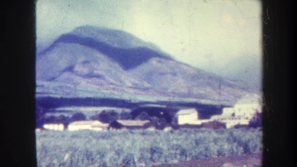 1967 Honolulu-area 8mm frame showing a mountain slope behind fields, scattered trees, and bright low buildings.