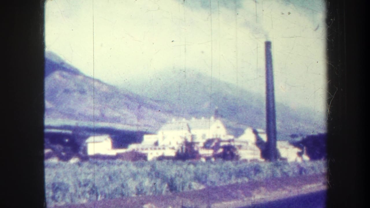 Industrial complex with tall chimney, pale buildings, fields, and mountains in soft focus.