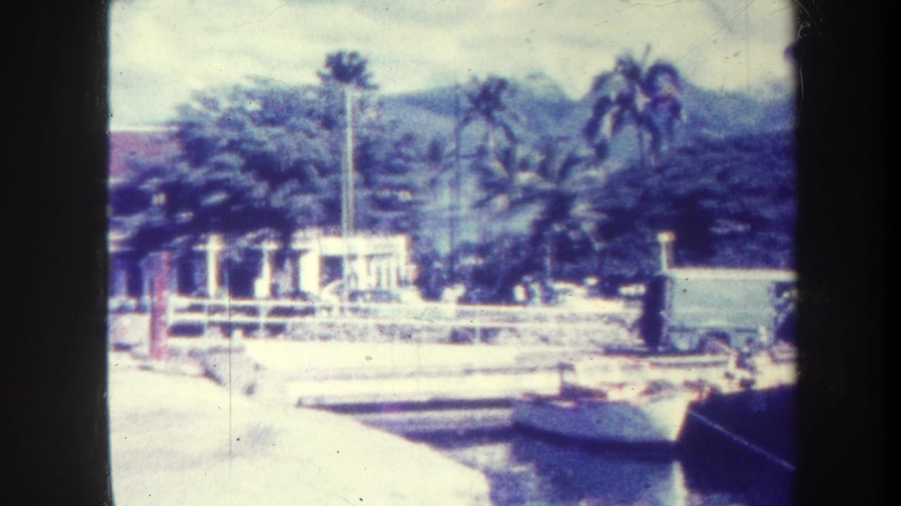 Small boats docked by a pier with palms and mountains in the background.