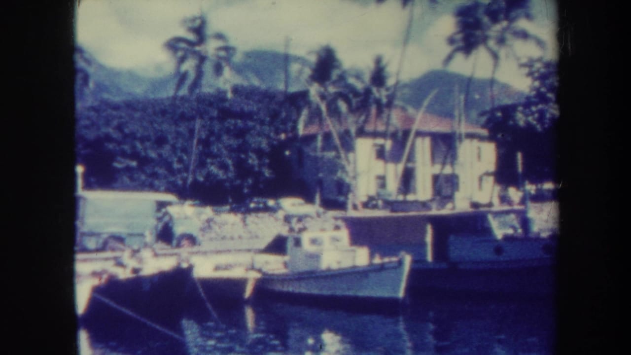 Small boats on calm harbor water beside palms, a waterfront building, and distant mountains.
