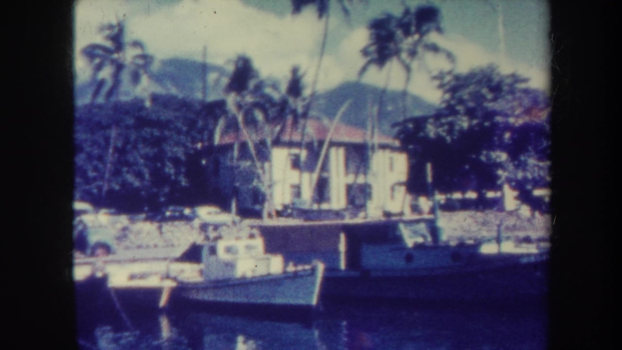 Harbor boats in front of a pale building, palm trees, shoreline vegetation, and mountains.