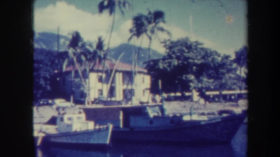 Honolulu 1967 home-movie still with small boats in calm water below palms, dense shoreline trees, and mountains in the distance.