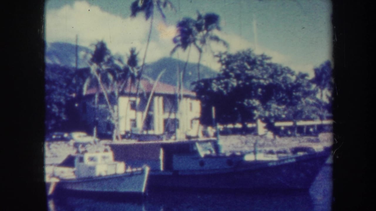 Small boats docked beside a pale waterfront building with palms and mountains behind.