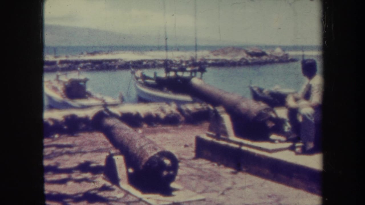Old cannon in foreground beside Honolulu harbor with boats and a seated man nearby.