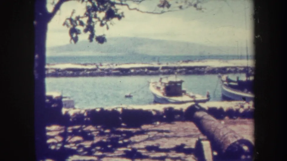 1967 Honolulu harbor view with a cannon in the foreground, boats near the breakwater, overhanging branches, and hills beyond the water.