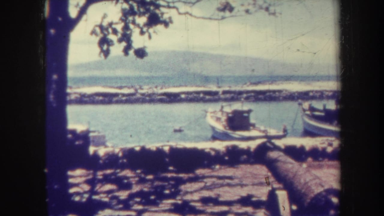 Tree-framed harbor view with small boats near a stone pier and distant land across the water.