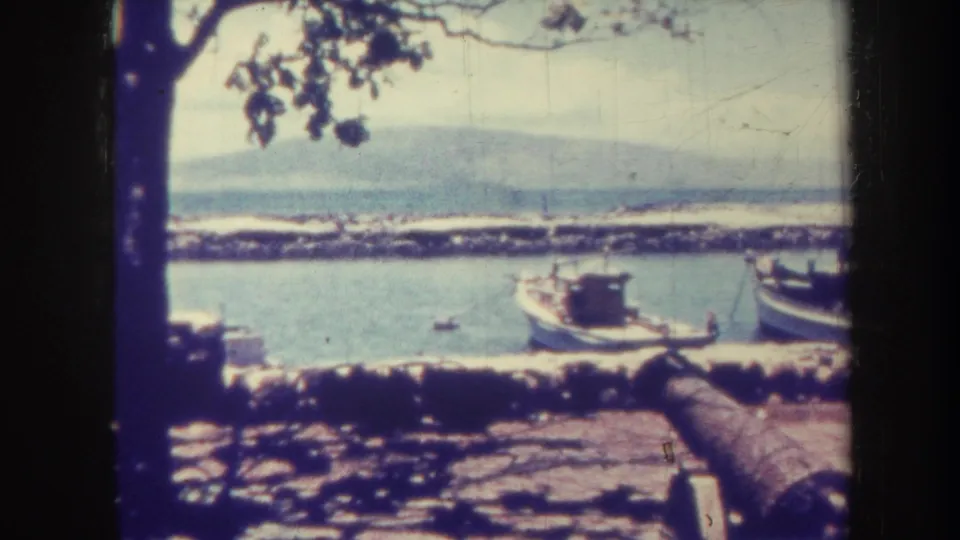 1967 Honolulu harbor scene framed by dark tree branches, showing small boats by a stone pier with hazy land beyond the water.