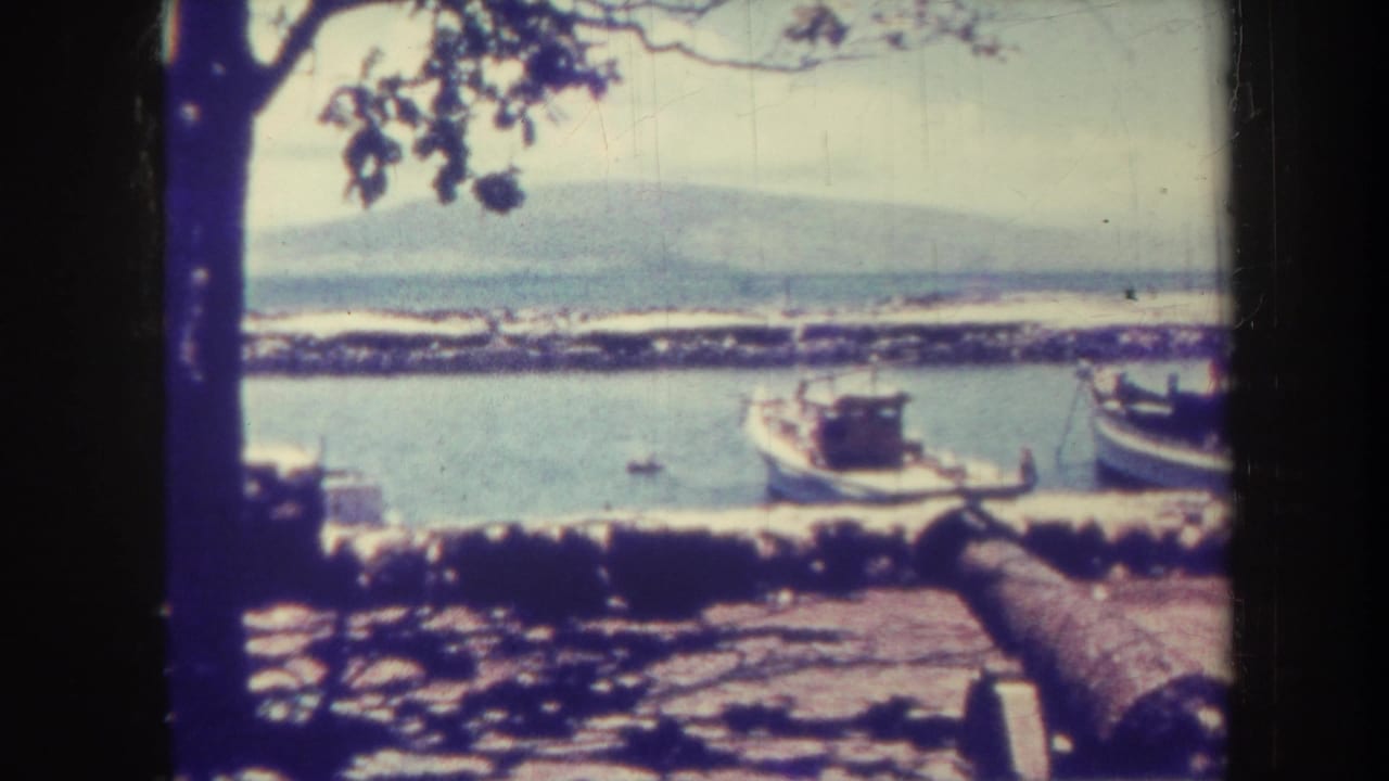 Harbor boats and a low pier seen through tree shade with distant shoreline beyond.