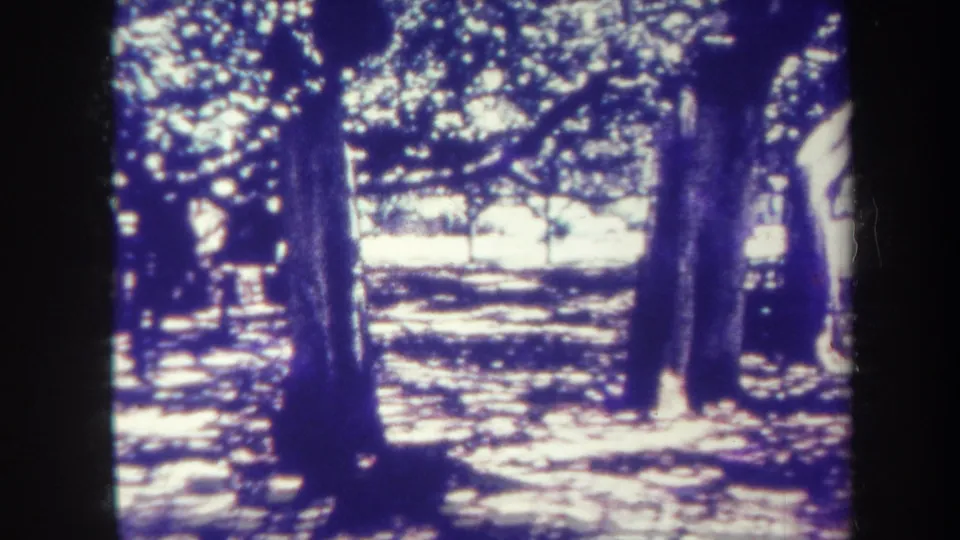 1967 Honolulu frame showing shaded trees and a partial standing figure at the right edge, with no clear face visible.