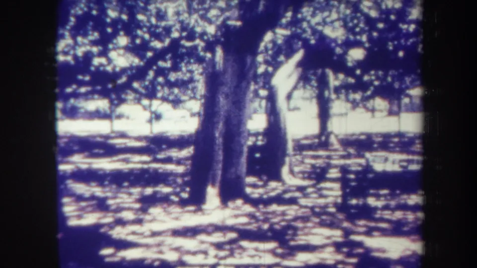 1967 Honolulu home-movie still with a distant light-clothed figure moving through tree shade in a park area.