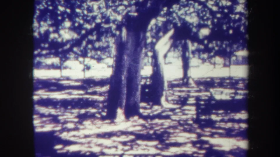 1967 Honolulu frame showing park benches beneath mature trees, with high-contrast sunlight and shadow across the ground.