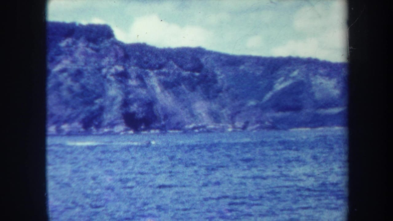 Blue-tinted water with a wooded cliff shoreline beneath a pale sky.
