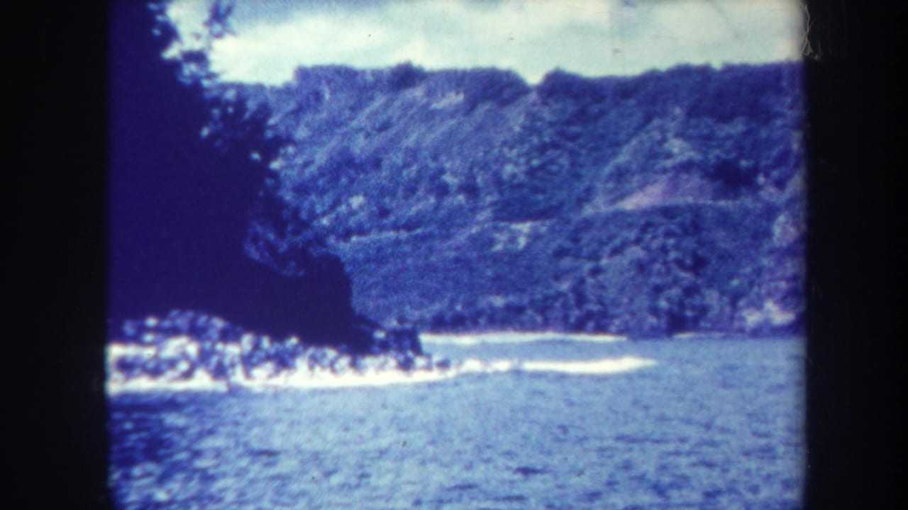 Coastal cove with wooded cliff, water, and dark film borders.