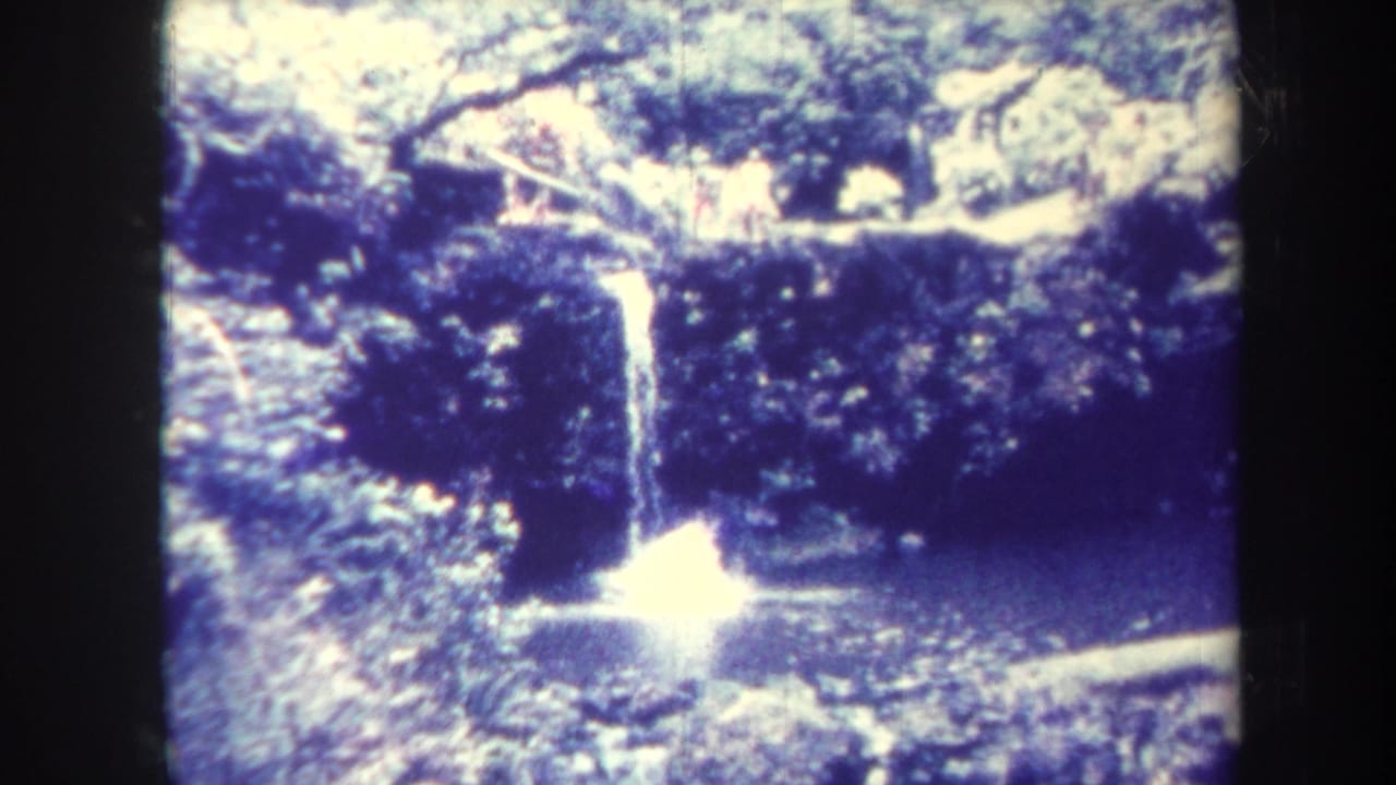 Small waterfall pours into a pond surrounded by dense tropical shrubs and trees.