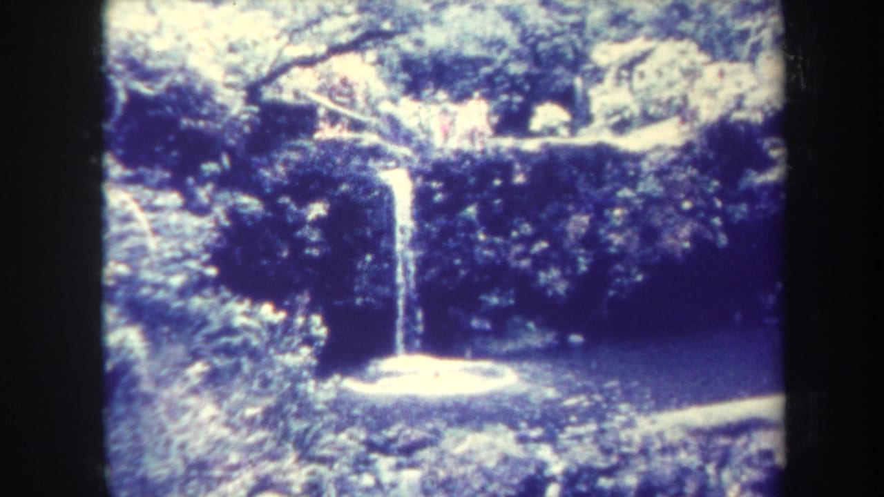 Waterfall and pond framed by foliage, with bright highlights near the water surface.