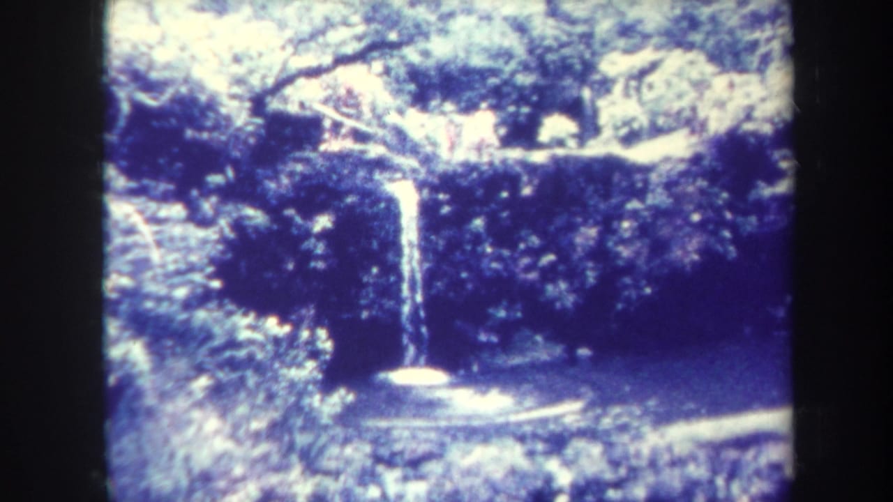 Wide view of a narrow waterfall dropping into a shaded tropical setting.