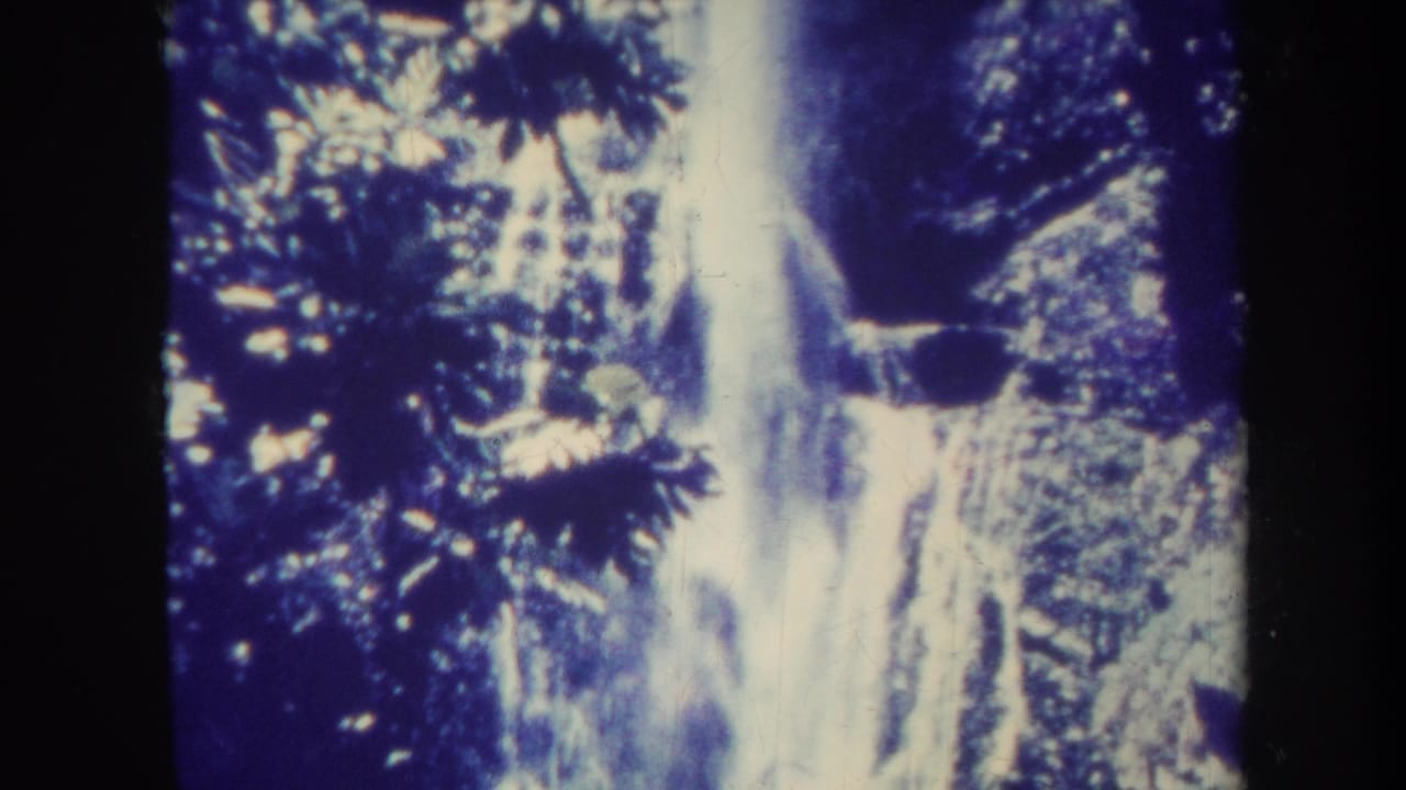 Waterfall pouring down a steep rock face among dense leaves.
