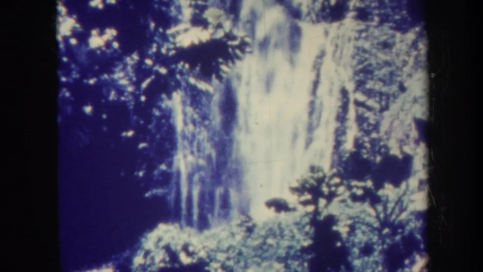 1967 Honolulu home-movie view of a waterfall behind tropical foliage, softened by grain and blue color shift.