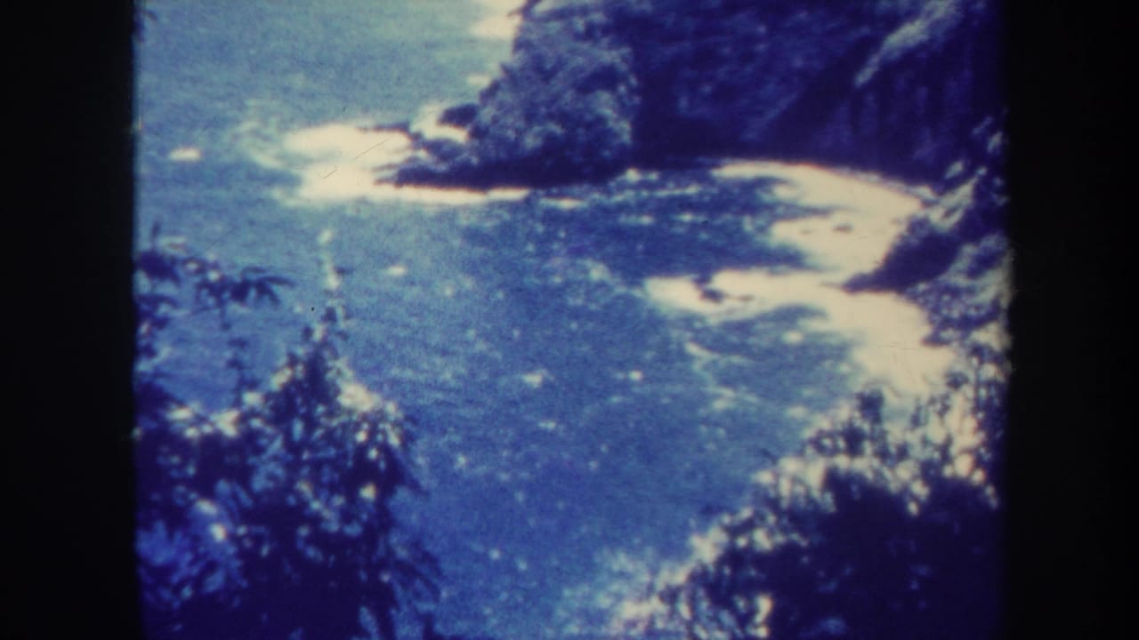 Elevated view of ocean surf, sandy coves, rocky cliffs, and dark foreground foliage.