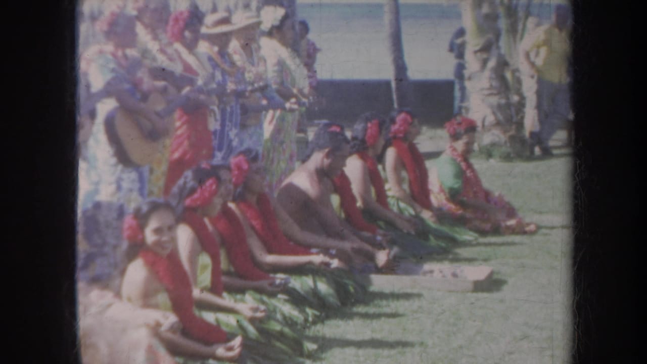 Seated hula performers in leis with musicians behind them on a lawn near palm trees.
